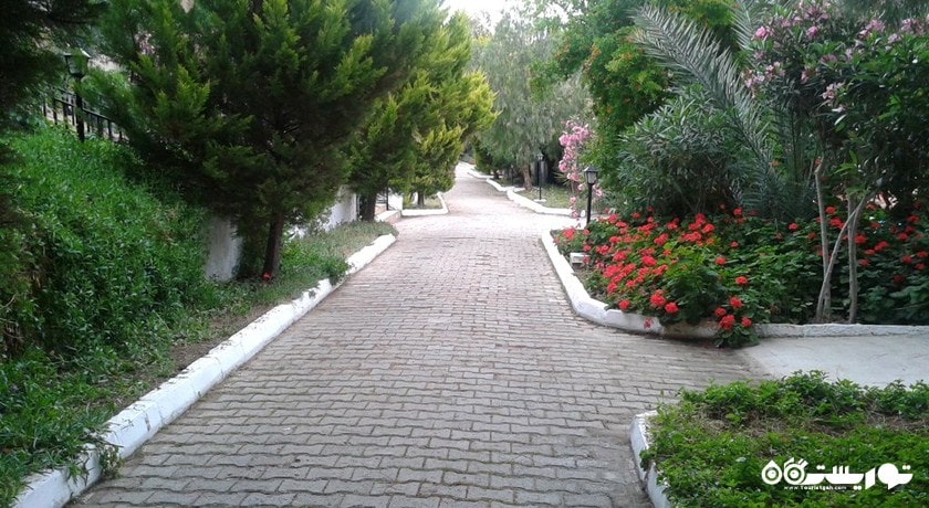 نمای محوطه فضای سبز هتل